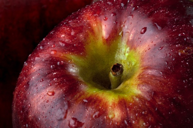 apple for the teacher