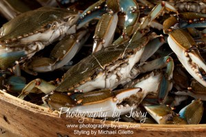Food Photography Blue Crab