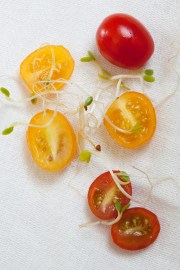 Grape Tomato