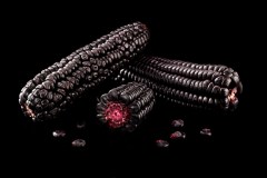 Peruvian Purple Corn Low Res