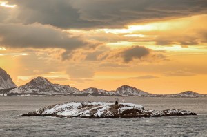 Crossing the arctic circle.
