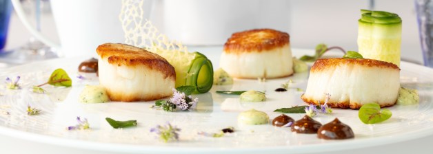 Scallops on a plate at a high end restaurant